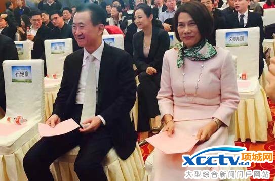王健林5個億小投資