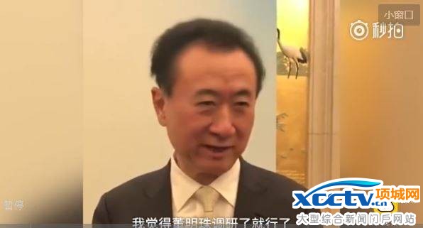 王健林5個億小投資