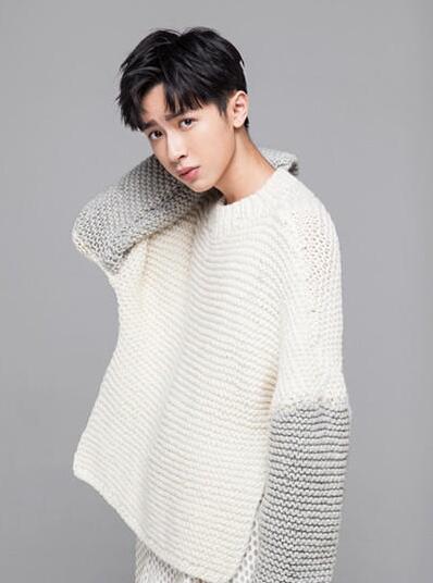 95后新晉男神大盤點 TFBOYS劉昊然史磊榜上有名