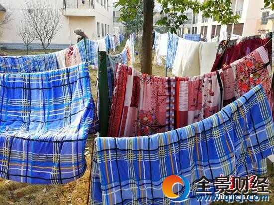 開學季大學生集體曬被子