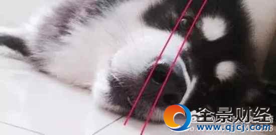 13萬網友曝光行業秘密 門外漢看得沉迷無法自拔