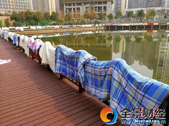 開學季大學生集體曬被子