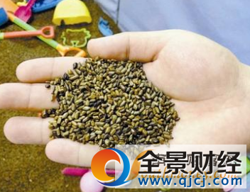 4歲男童決明子進鼻孔發芽 揭秘決明子的功效