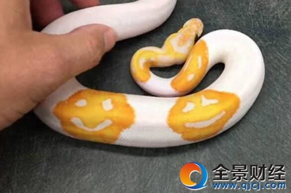 ߻y΢Ц һD߀cȡ