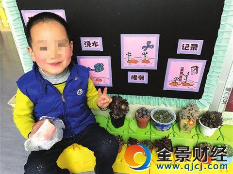 幼兒園老師讓帶"肉肉"植物 一個孩子帶來了一塊豬肉太搞笑了